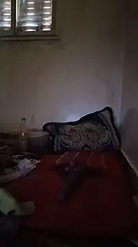 tslovetoys5