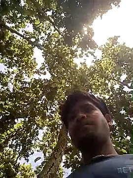 DesiBoy_Live
