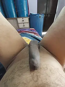studboy1111 webcam