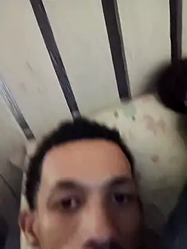 whitecock8-8 webcam