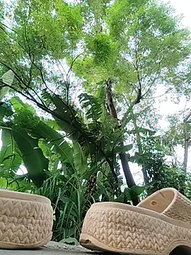 Coral_hi webcam