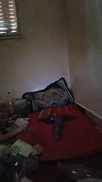 trans511 webcam