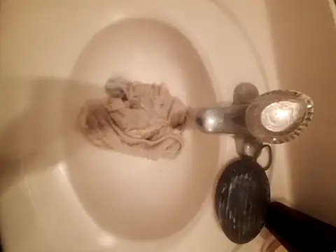 Shaunbees webcam