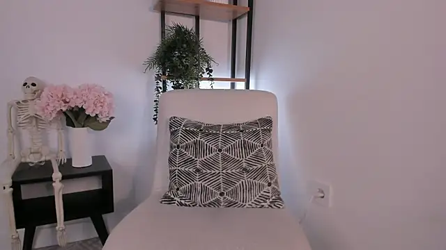 SookChaille webcam