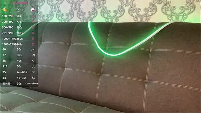 ViviLux webcam
