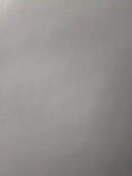 faceless_rocky webcam
