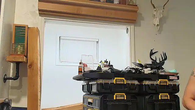 HoT_sHoT_357 webcam