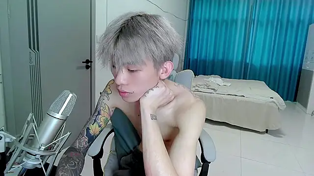 KPL-11 webcam