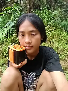 Hoa-tuylip