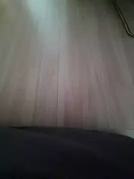 bch1045 webcam
