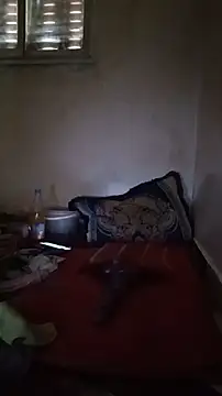 tslovetoys5 webcam