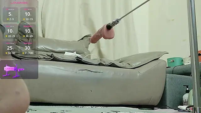 fox-yiyi