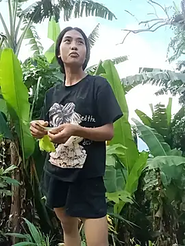 Hoa-tuylip