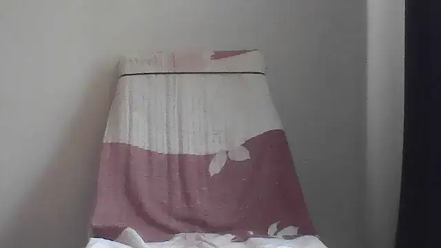 fl3xxx1 webcam