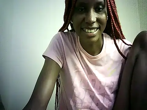 DelteAfriq webcam