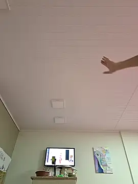 dancaEstrip webcam