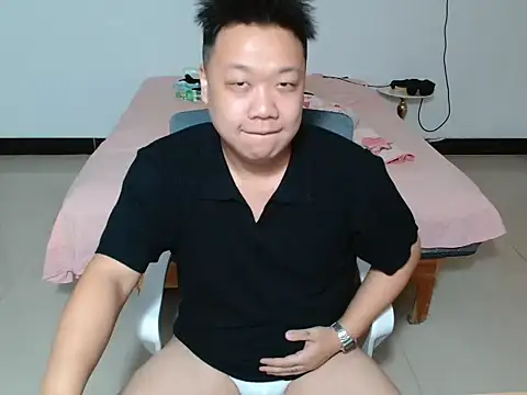cc2003vv webcam