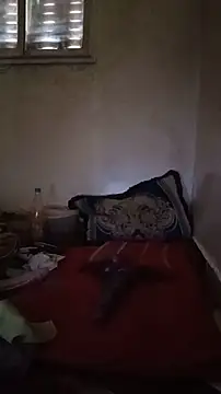 tslovetoys5 webcam