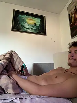 Toyjungee webcam