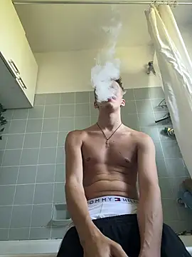 Toyjungee webcam