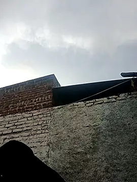 Sasha_Patel webcam