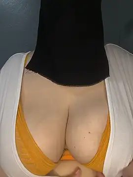 tota_ webcam