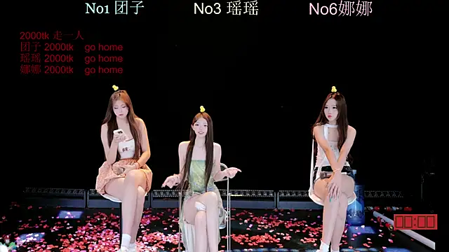 lv-520 webcam