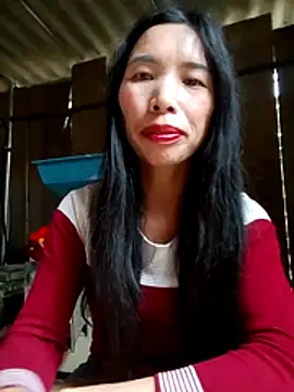 Tho-bibi webcam