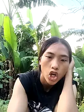 Hoa-tuylip