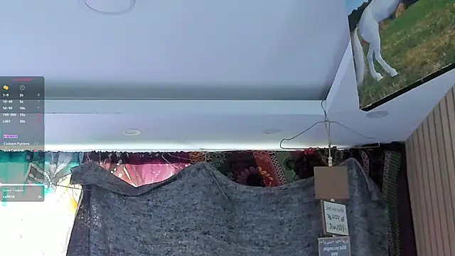 orionblaze69_ webcam