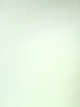 faceless_rocky webcam