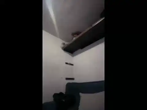 luiscachondito99 webcam