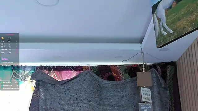 orionblaze69_ webcam