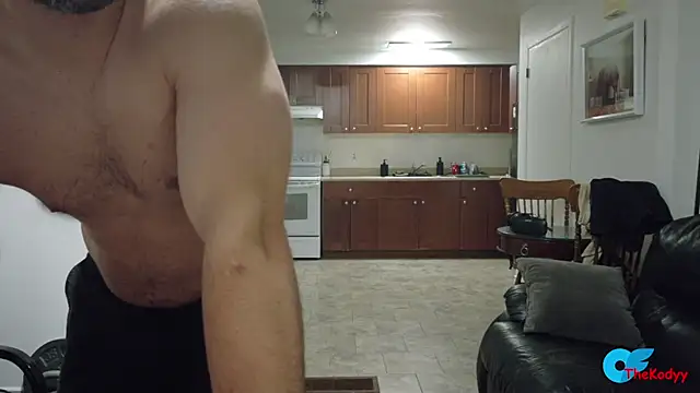 Thekodyy webcam