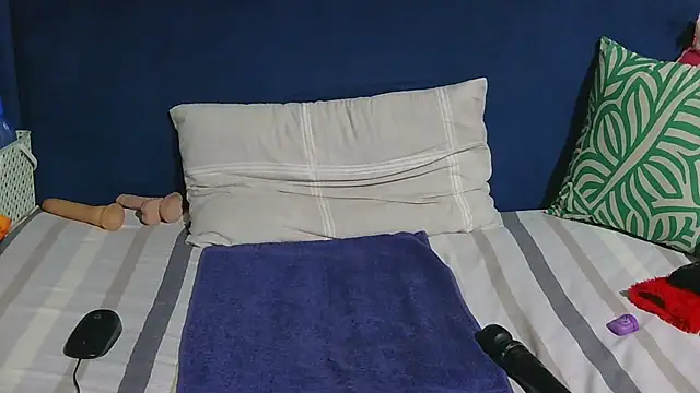 Melitaxx webcam