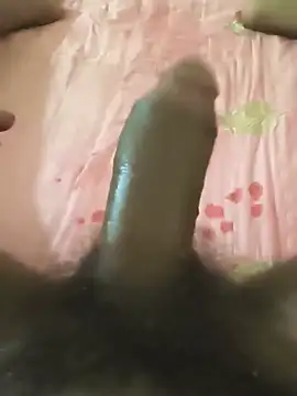 yogihotsel webcam