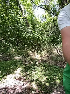Lubovnikii live cam