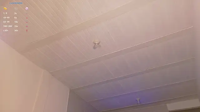 JothaFit webcam