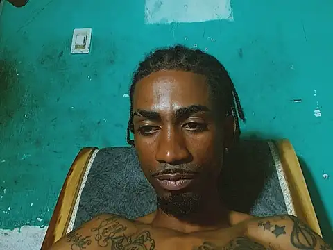 soypleve webcam