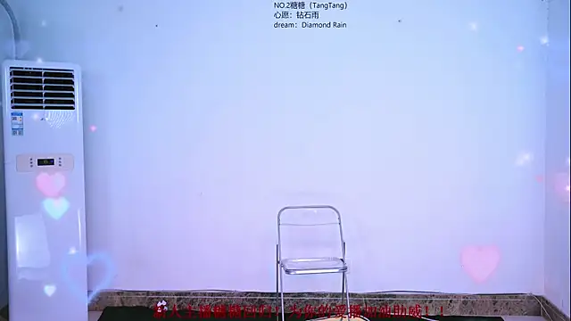 CCTW-100 webcam