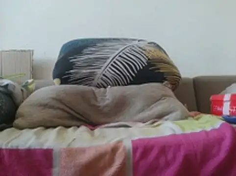 davidgra19788 webcam