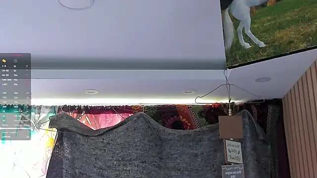 orionblaze69_ webcam