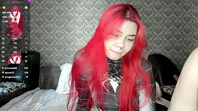 Veldenga webcam