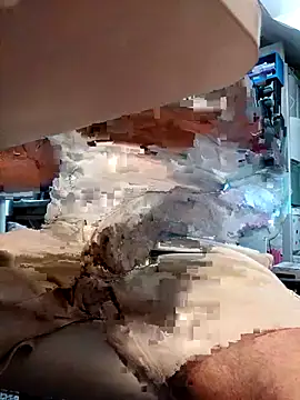 Tiger-70 webcam