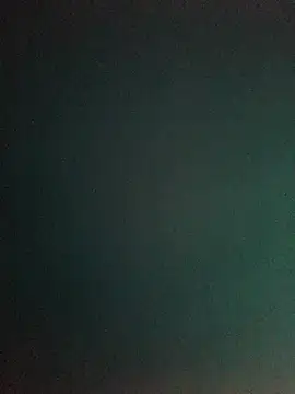 faceless_rocky webcam