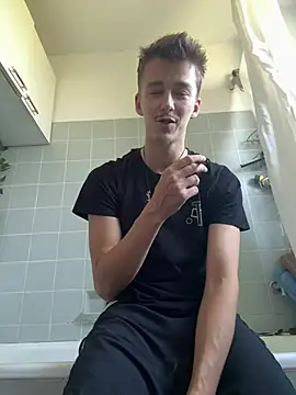 Toyjungee webcam