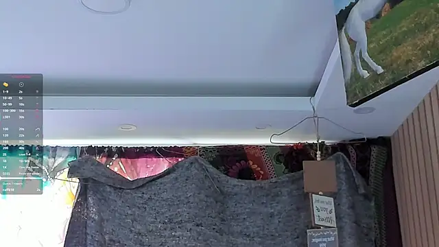 orionblaze69_ webcam