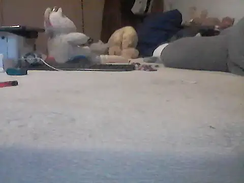 Silencio26 webcam
