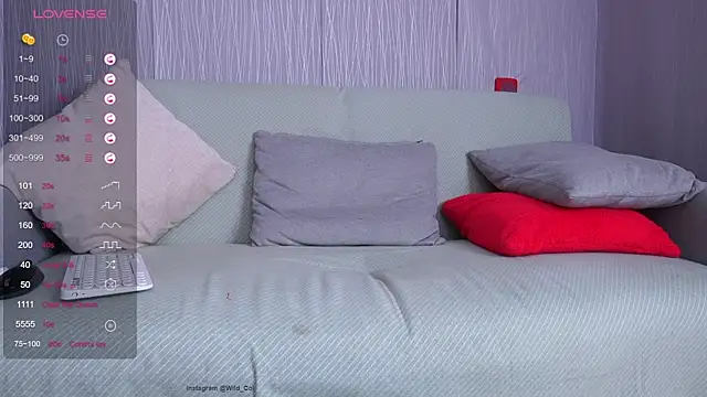 wild_col_ webcam