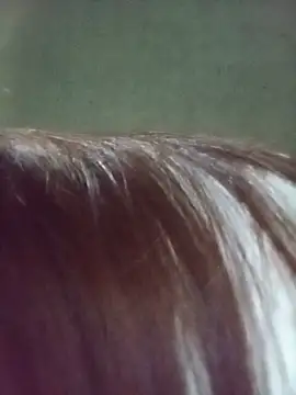 gogo-min webcam